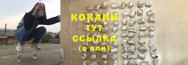 гашик Михайлов