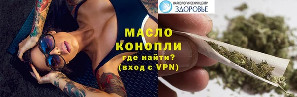 молекула духа Надым