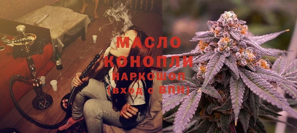 гашик Михайлов