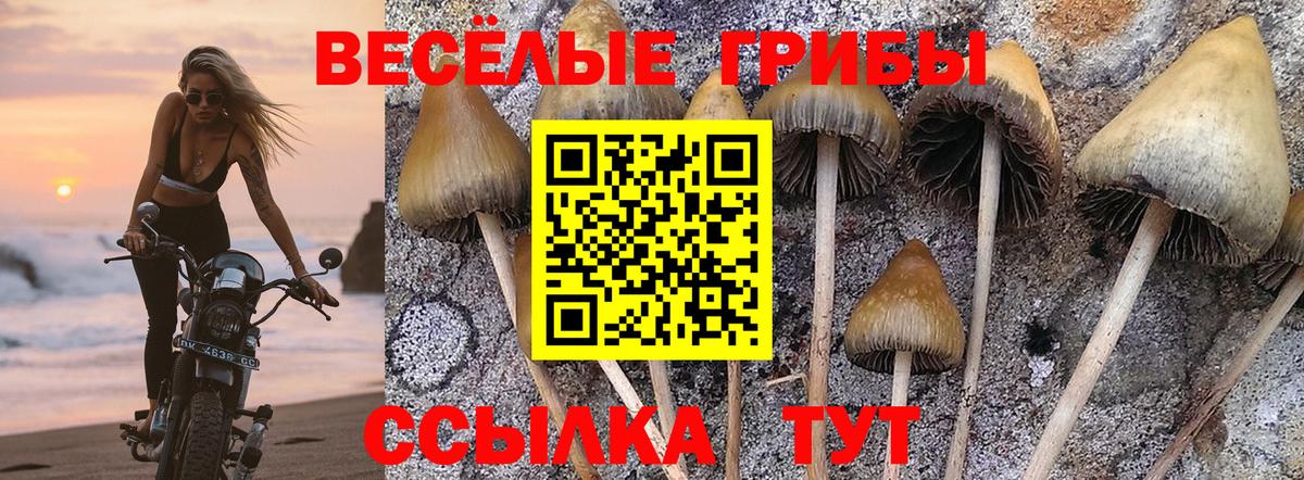 Псилоцибиновые грибы ЛСД  Вход с VPN  Томск 