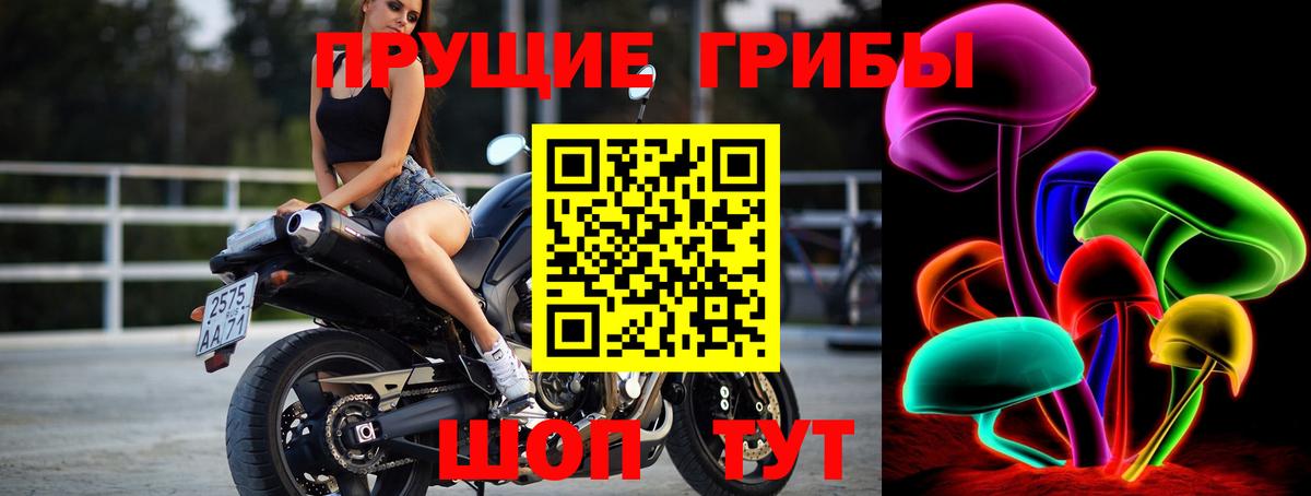 Галлюциногенные грибы Magic Shrooms  Томск 