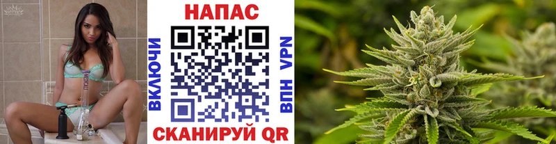 Канабис ГИДРОПОН  Купить  Томск 